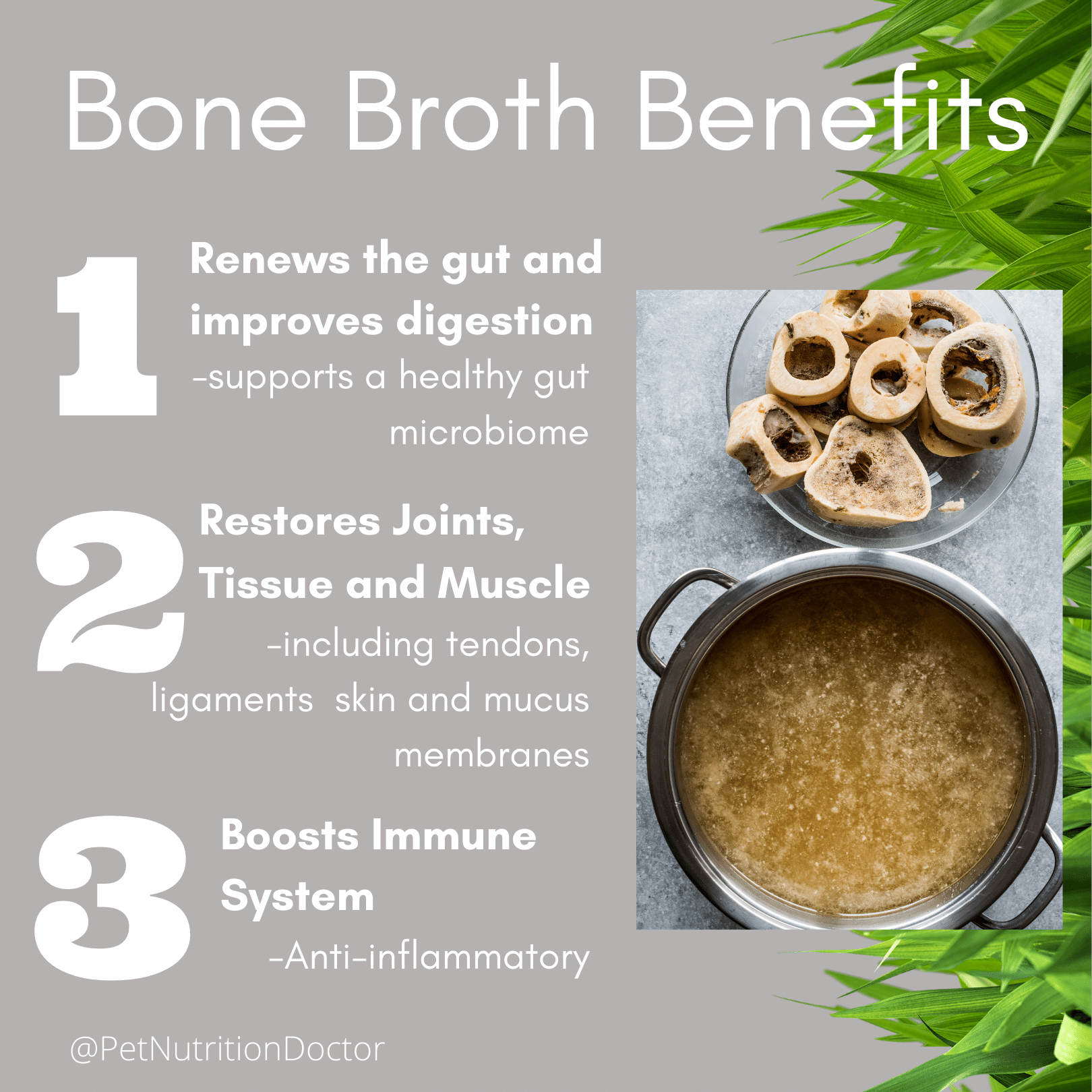 What are the Benefits of Bone Broth for Dogs: Boost Health & Vitality