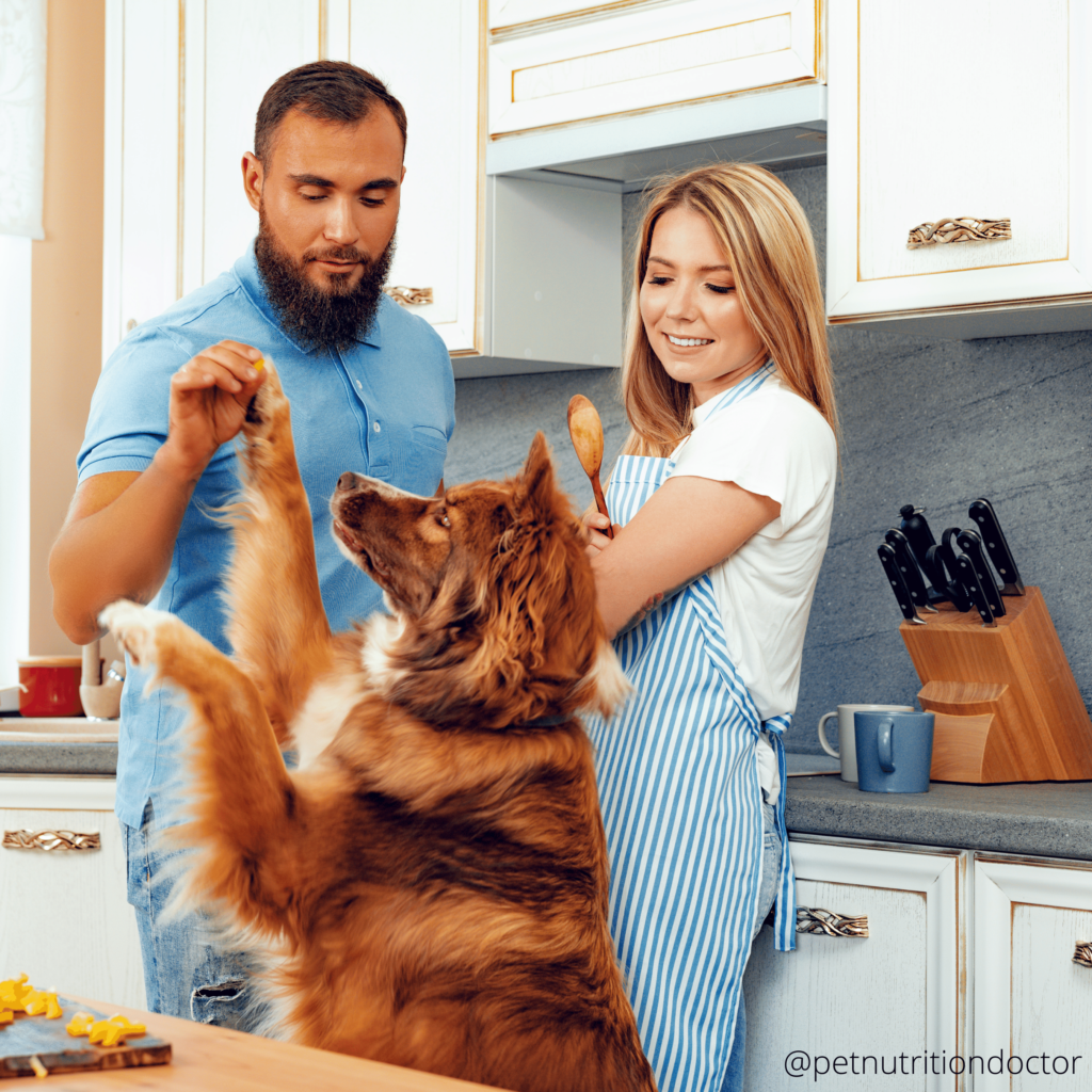 Which is Better for Your Pet Raw or Cooked? Pet Nutrition Doctor